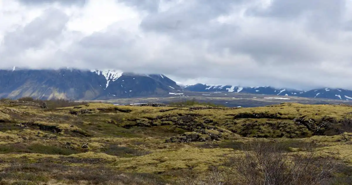 Tónleikagestir verða að skilja regnhlífarnar eftir heima en ekki nestið