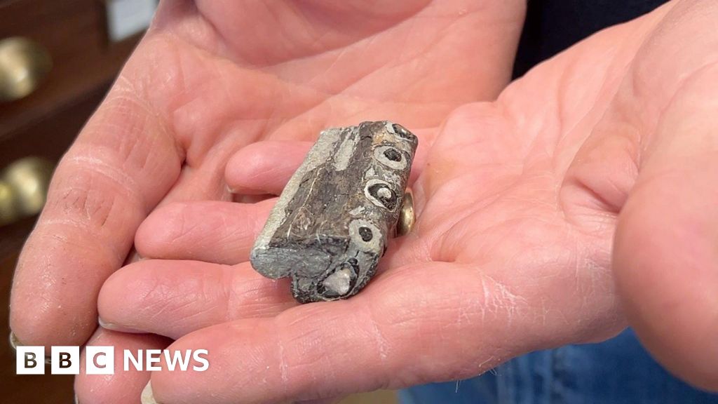 Tourist finds chunk of oldest sea crocodile on Lyme Regis beach