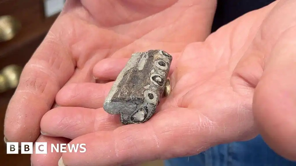 Tourist finds chunk of oldest sea crocodile on Lyme Regis beach