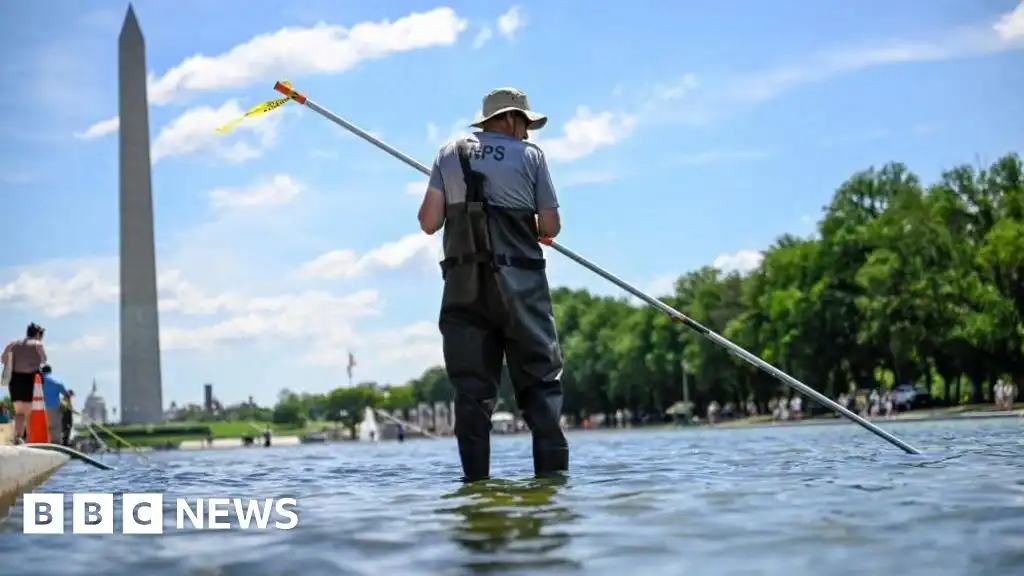 Trump inspects Reflecting Pool and says work will begin 'immediately'