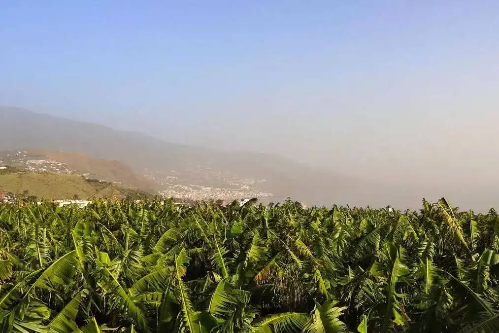 TUESDAY WEATHER: Calima to continue across the Canary Islands with mostly clear skies