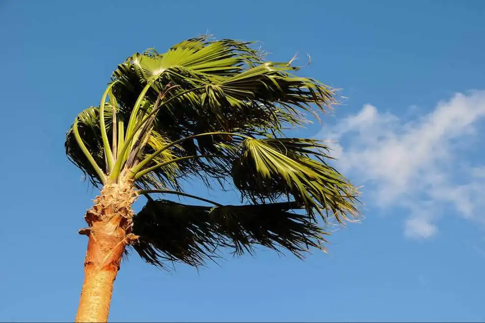 TUESDAY WEATHER: High temperatures with strong winds in the Canary Islands