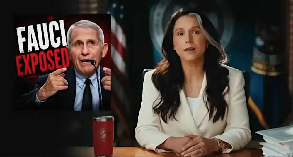 Tulsi Gabbard afhjúpar skjöl um Fauci og rannsóknir: laug að þinginu í vitnisburði árið 2024