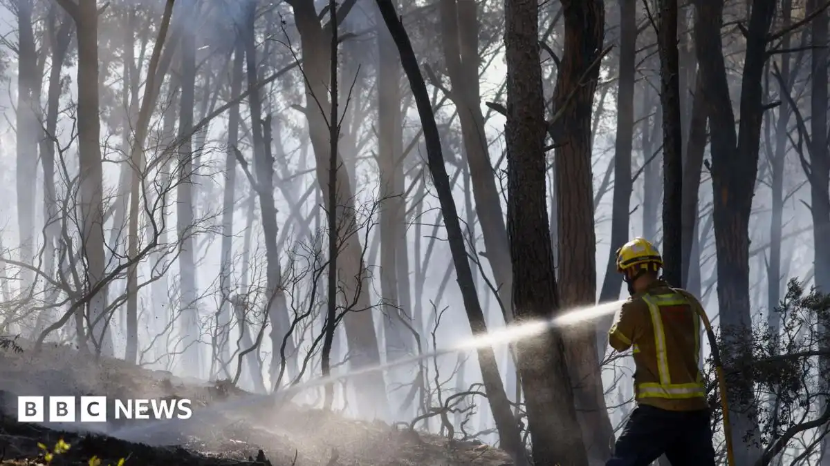 Twelve die in Spain wildfire as heatwave continues in southern Europe