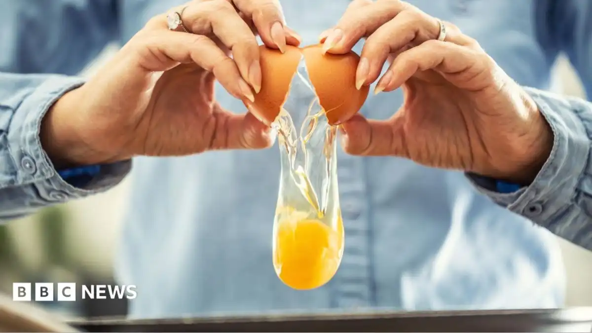 UK salmonella cases nearing 500 as egg investigations continue