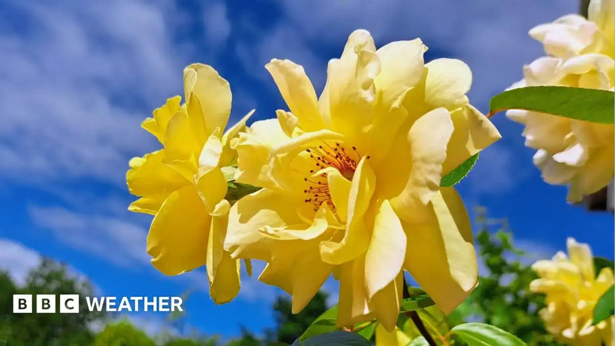 UK weather: Another heatwave may be on its way
