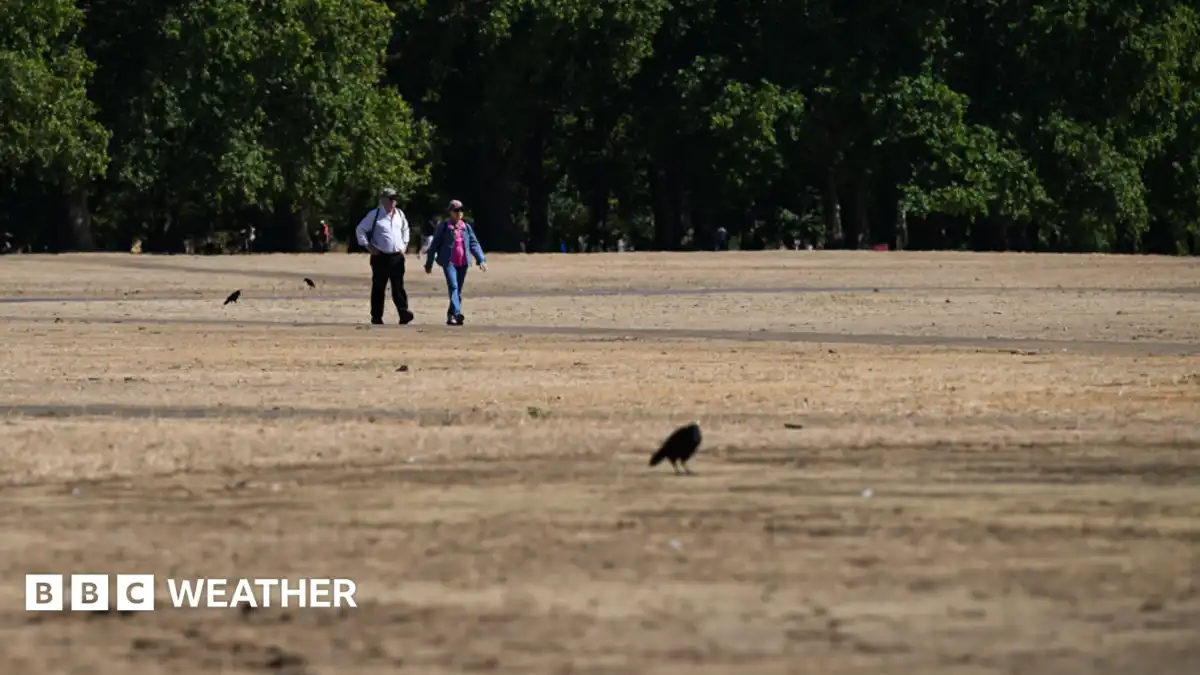 UK weather: Brief relief ahead of fifth heatwave - as more areas could move into drought