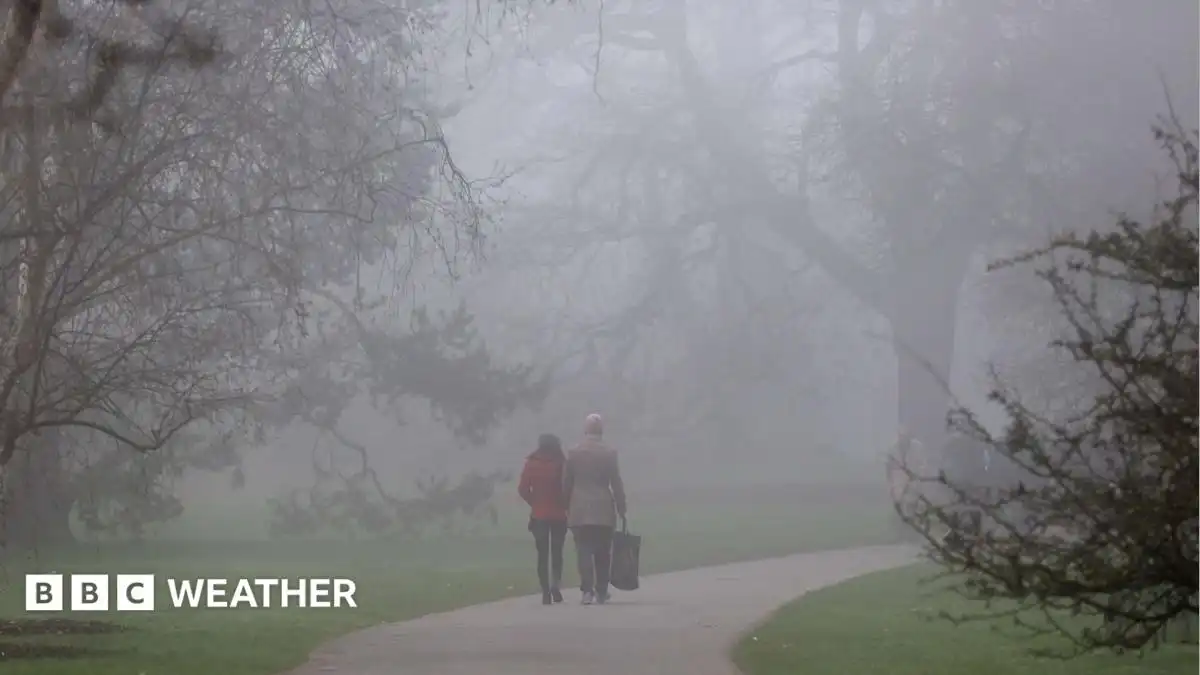 UK weather: Fog and mist to create dangerous driving conditions