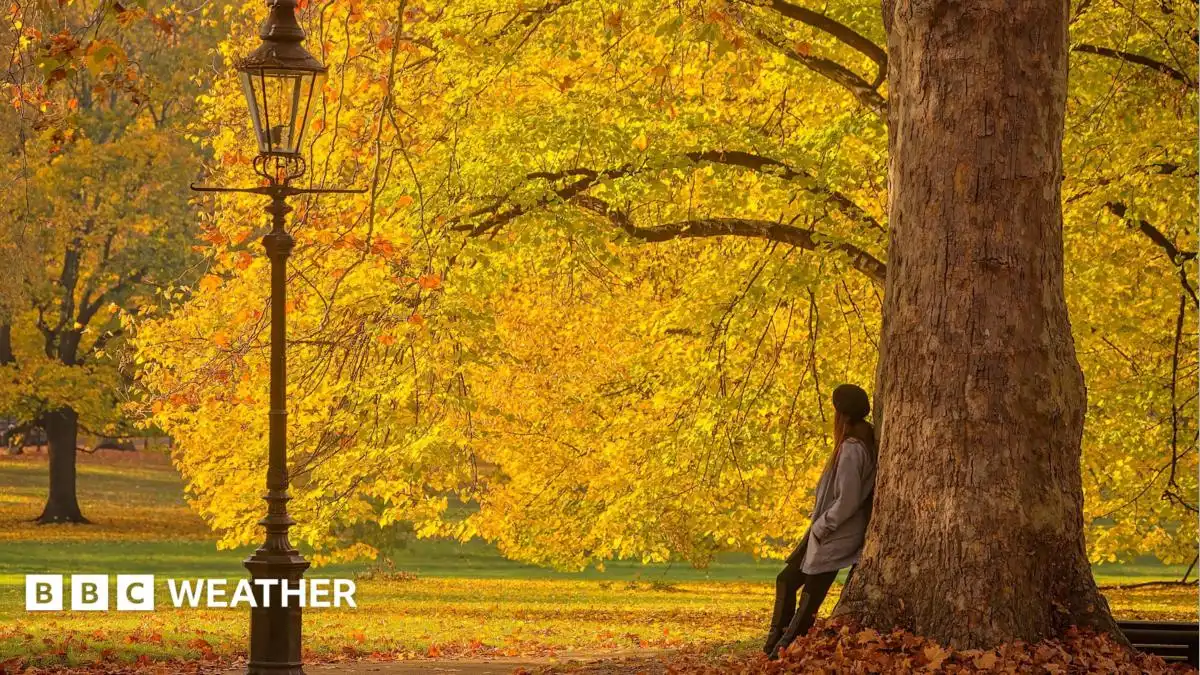UK weather: Remnants of hurricane Isaias to help bring warm weather this week
