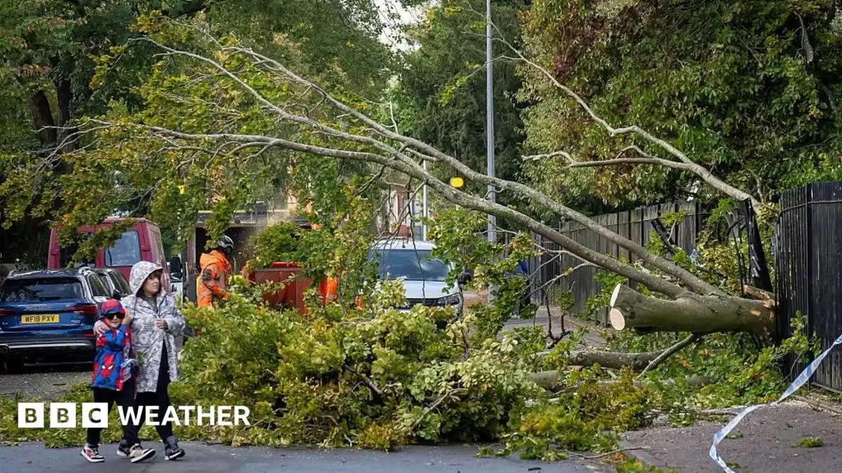 UK weather: Storm Austen named by Met Office as yellow wind warning issued