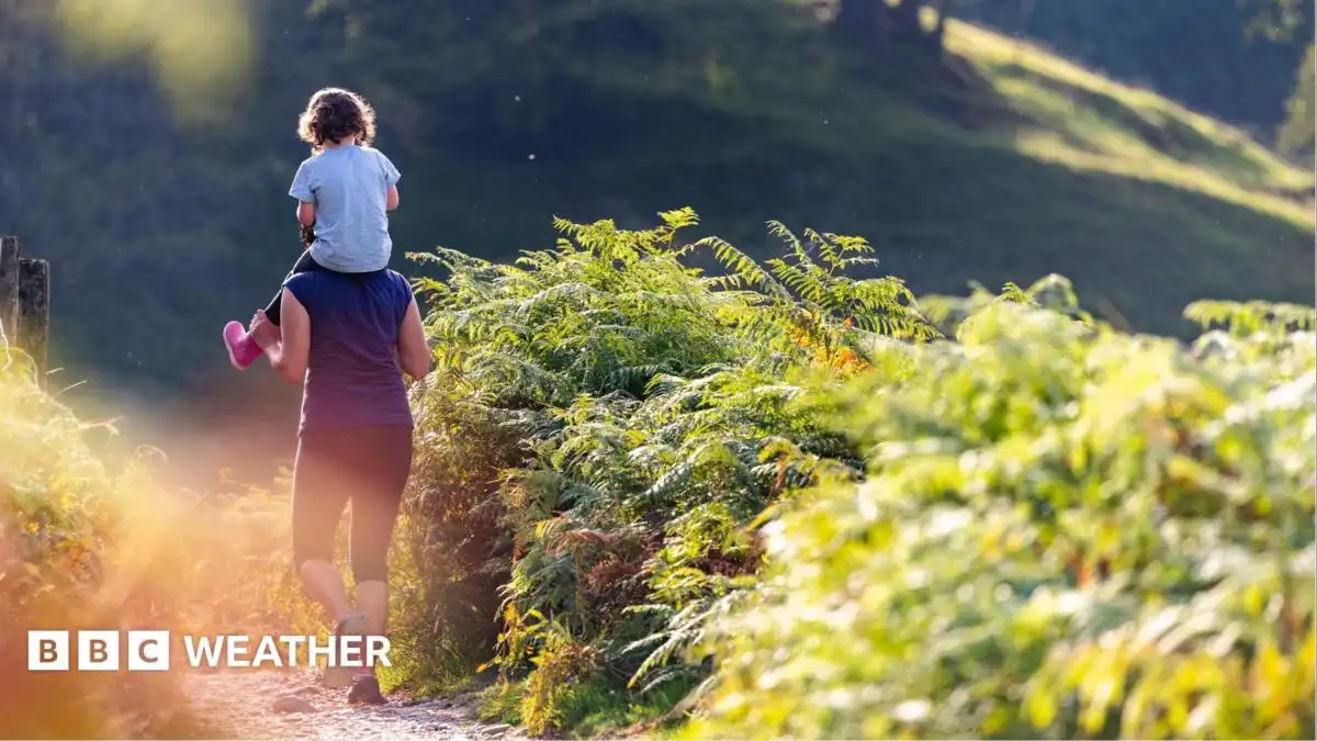 UK weather: Summer warmth to return next week with 26C forecast