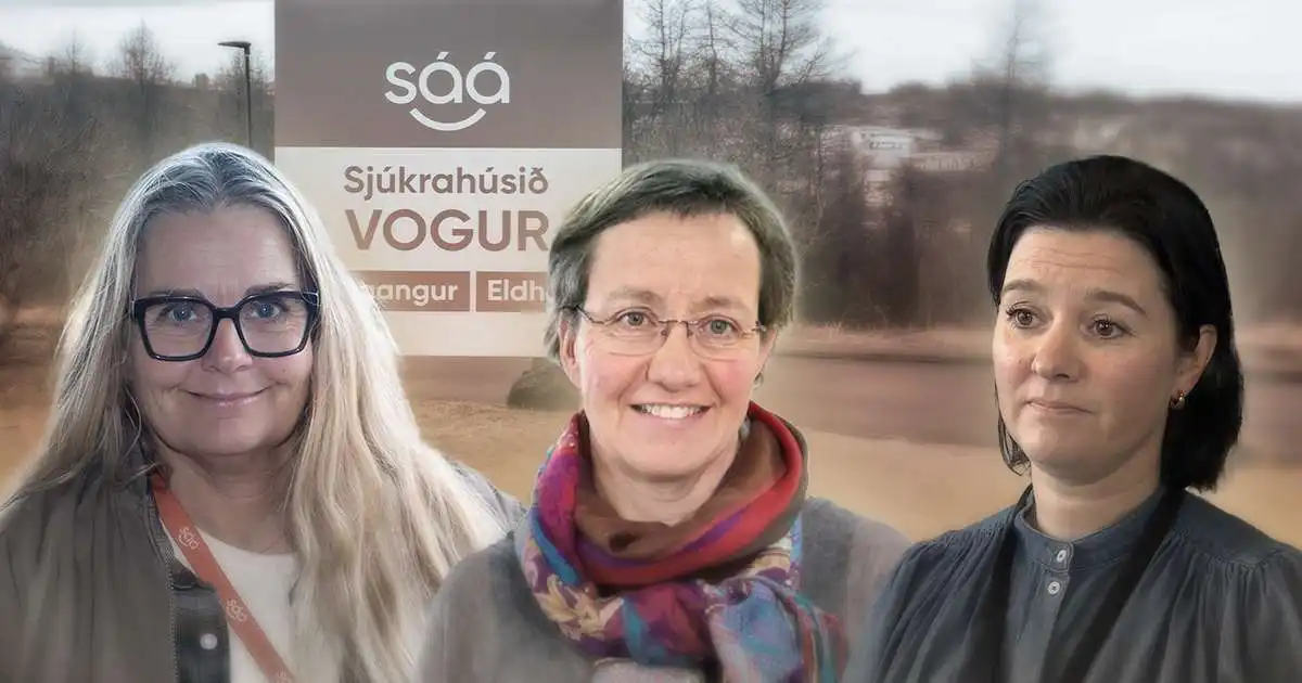 Um hvað snúast deilurnar innan SÁÁ?