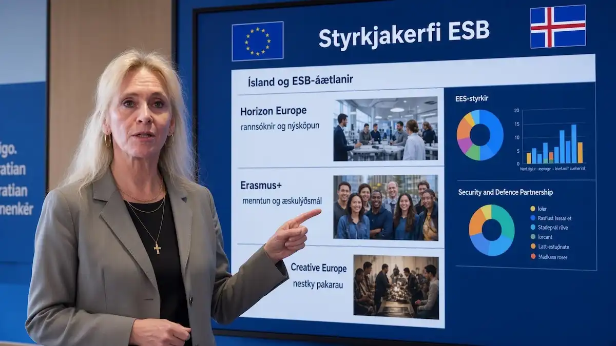 Umfangsmikið styrkjakerfi ESB til ráðuneyta og helstu stofnana landsins á undanförnum árum