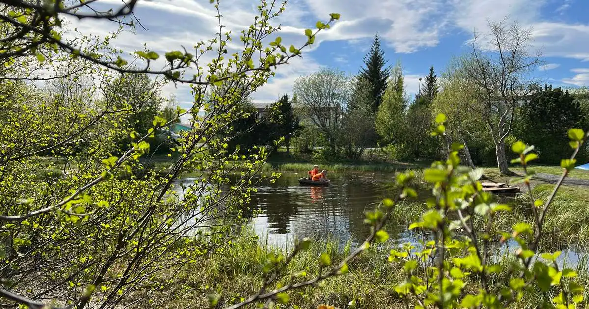 Úrkoma í flestum landshlutum