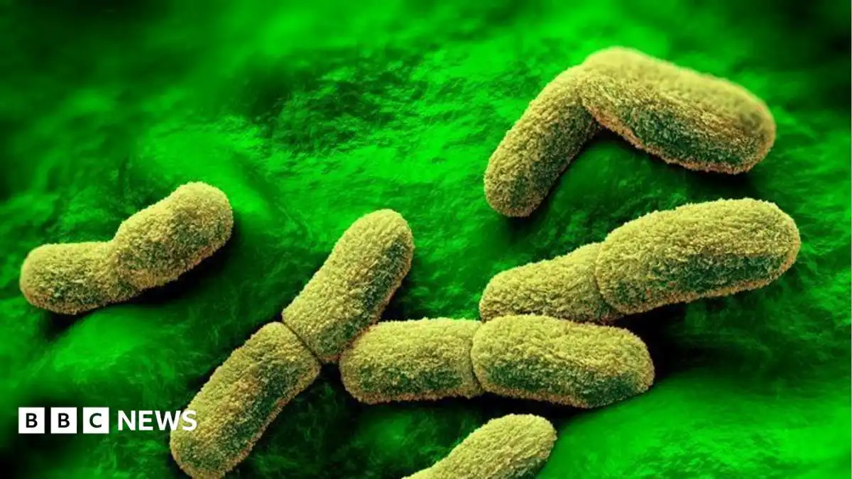 US 'watching closely' after plague researcher dies in Russia, Rubio says