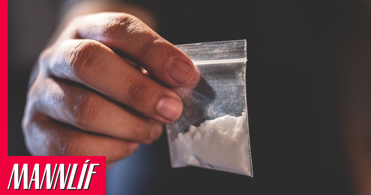 Útúrkókaðir laxar sýna breytta hegðun