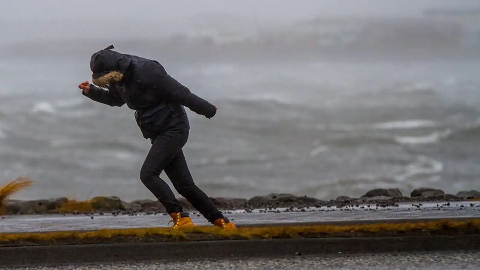 Varað við hvössum vind­strengjum við fjöll og á heiðum - Vísir