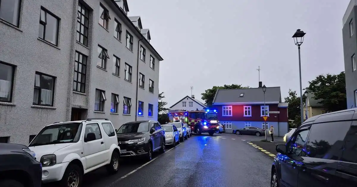 Vatnsleki í Vesturbænum
