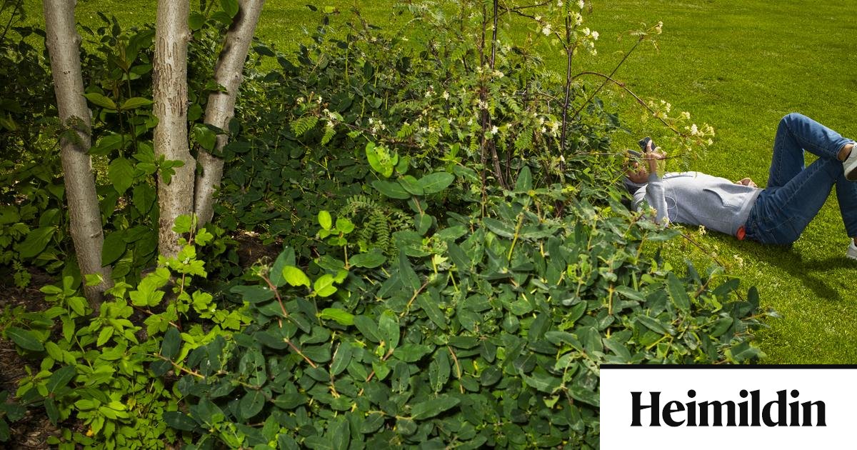 Veðurfræðingur á sumardaginn fyrsta: „Vorið er komið“