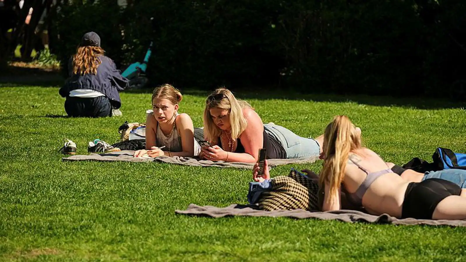 Veður­fræðingur spáir fínasta sumri - Vísir