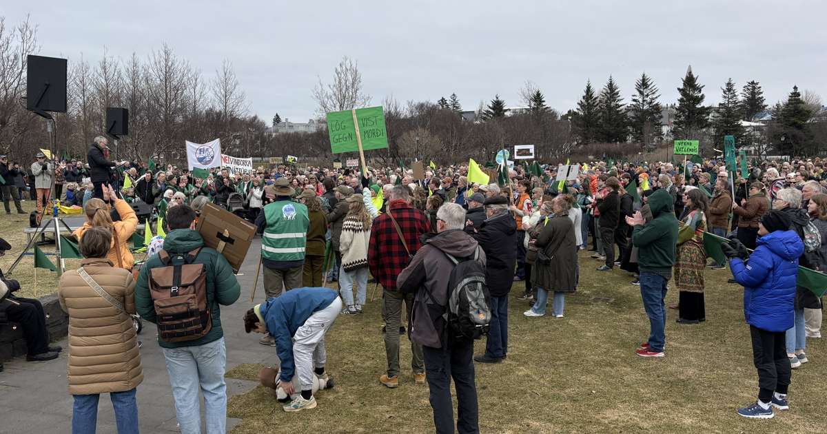 „Við erum með umhverfisráðherra sem virðist engan áhuga hafa á umhverfisvernd“
