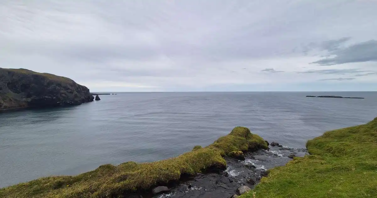 Víða úrkoma við ströndina og þokuloft