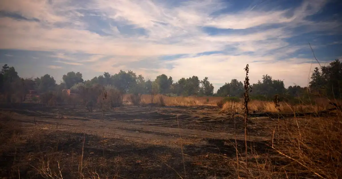 Víðfeðmir gróðureldar geisa nærri Los Angeles
