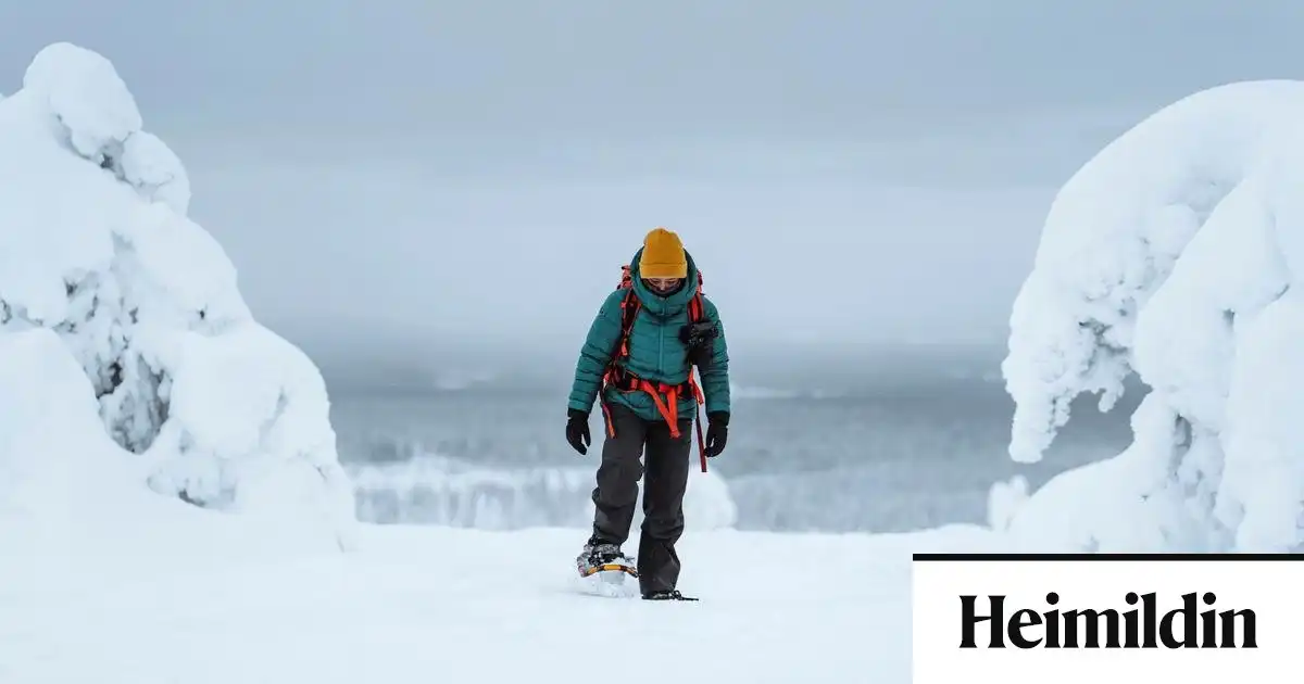 Vildu ekki koma aftur til Íslands með 100 manna hóp