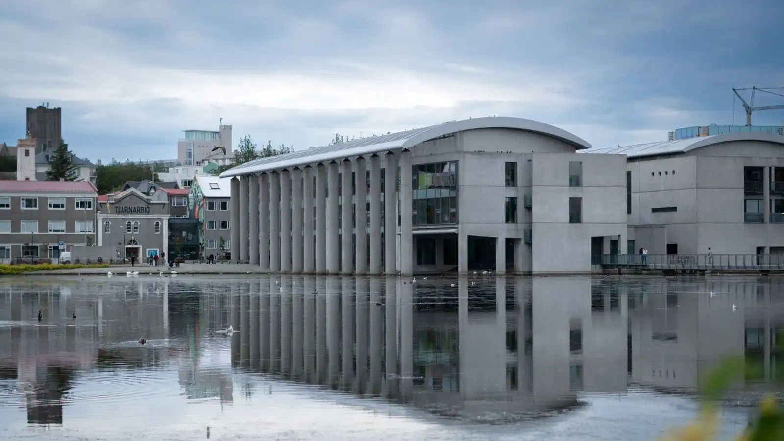 Vilja fjölga hólmum í Reykja­víkur­tjörn og frið­lýsa fjöru við Skerja­fjörð og Ægi­síðu - Vísir