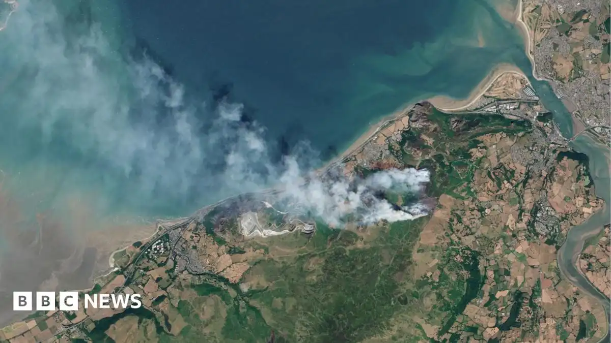 Wales wildfires could see nature take centuries to recover - environmentalists