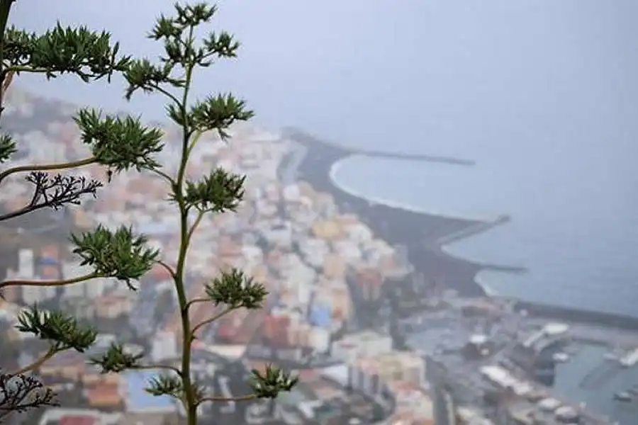 WEDNESDAY WEATHER: Calima returns to Canary Islands as temperatures begin to rise