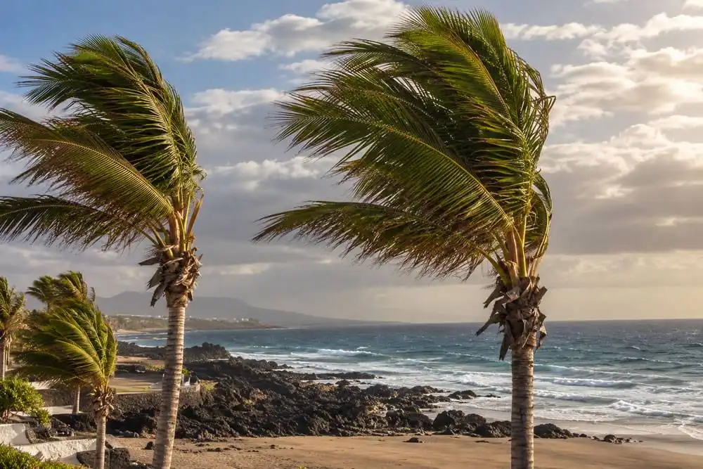 WEEKEND WEATHER: Still hot with light haze and strong winds after a wet Friday