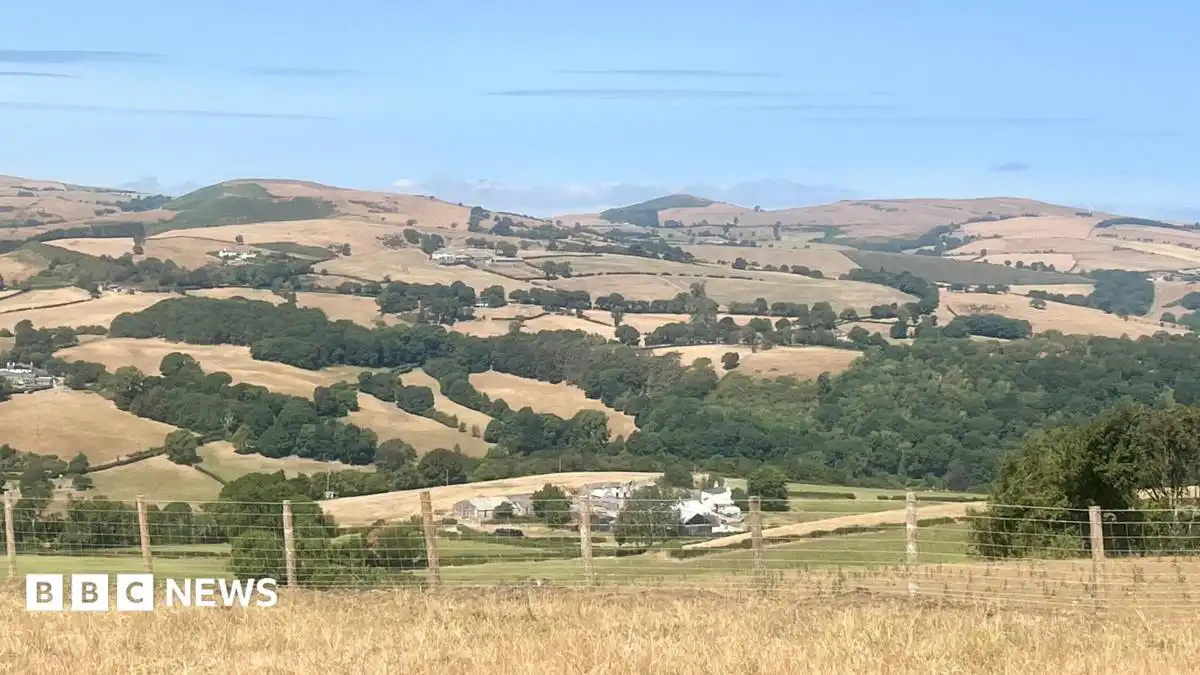 Wildfires and record dry conditions triggers drought in parts of Wales