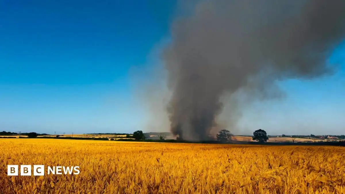 Wildfires burn across UK as fire chiefs warn of extreme pressure