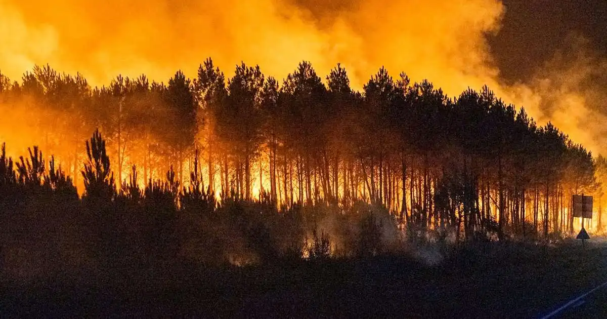 Yfir 220 þúsund þurft að flýja vegna eldanna